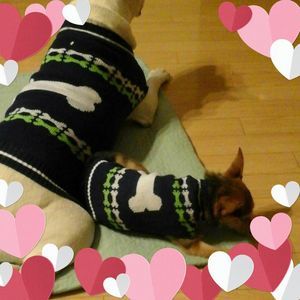 Meet your Posher, Annette